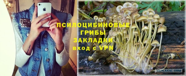 прущая мука Осташков