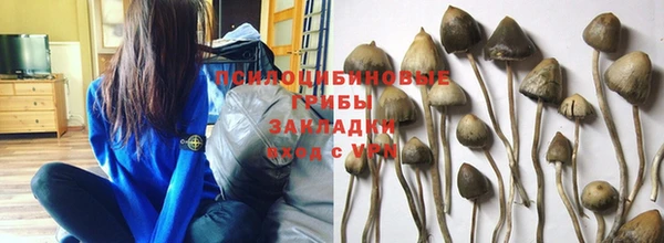 экстази Баксан